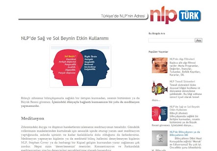 How to download NLP Türkiye patch 0.1 apk for pc