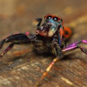 Elegant Golden Jumper
