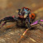Elegant Golden Jumper