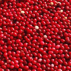 Raw Cranberry Relish Recipe