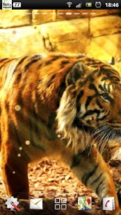 How to mod free live tiger wallpaper 1.0.5 mod apk for android