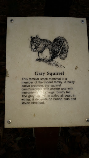 Habitat Marker Forsythe Nature Trail Grey Squirrel