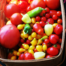 End of Summer Tomato Cruda