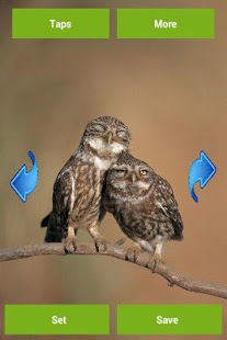 How to get Owls Wallpapers 2.0.0 mod apk for android