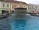 Brunnen Altstadt Gmünd