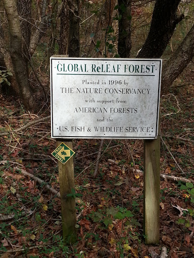 Global ReLEAF Forest
