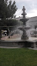 Fuente Plaza De Armas (Constitución Y 5 De Febrero) 