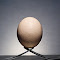 egg-2.jpg