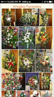 How to install Milly Floristeria Corozal, PR 1.2 mod apk for android
