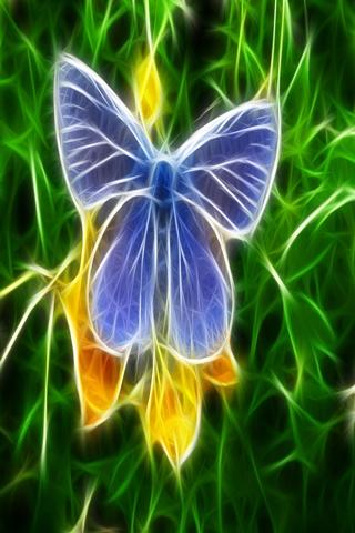 lovely Butterfly 12