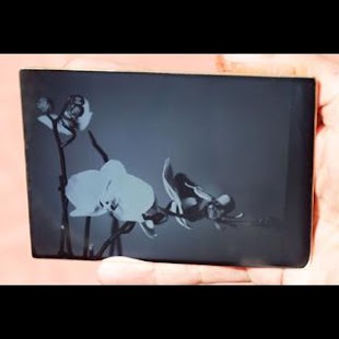 How to download Daguerreotype + Wet Collodion lastet apk for bluestacks