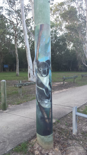 Happy Koala on Bayliss