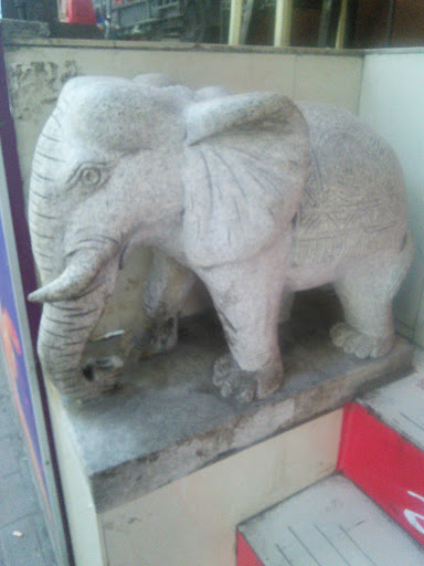 阿苏克印度餐厅小石象