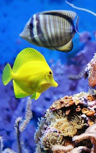 How to download Aquarium Live Wallpaper 2.0 unlimited apk for pc