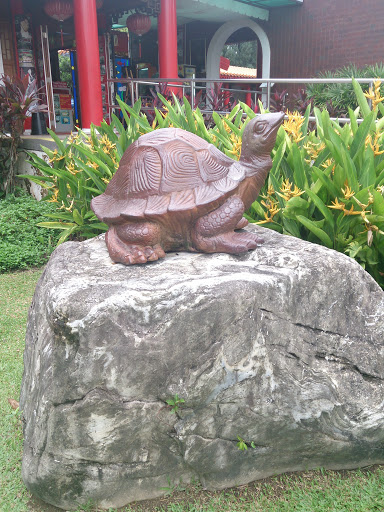 Resting Tortoise Statue