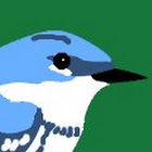 empidonax