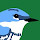 empidonax