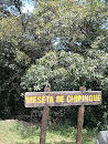Meseta Chipinque Parque 