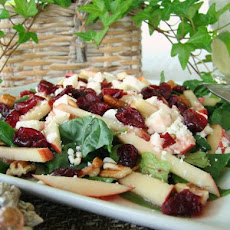 Cranberry Apple-Spinach Salad