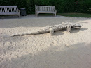 Krokodil im Sand