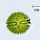 Microscopic Life 