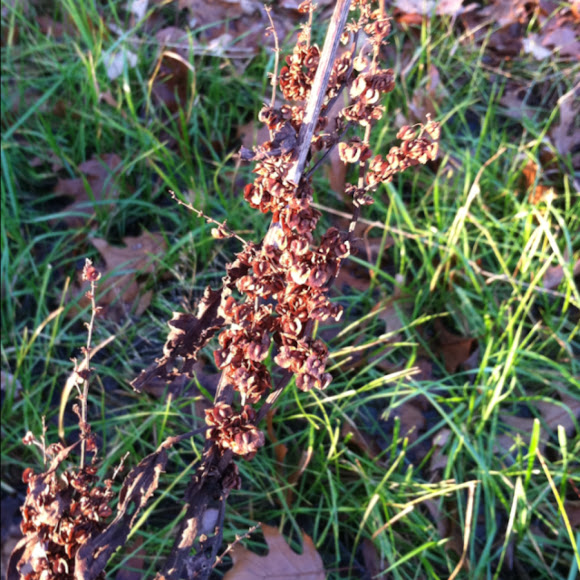 Spotting Image 1