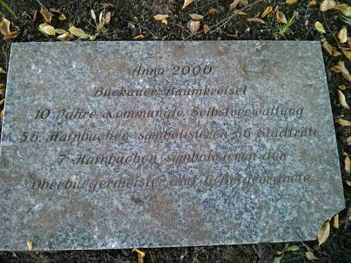 Buckauer Baumkreisel