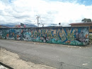 Graffiti Tienda Americana