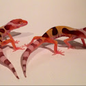 High yellow HET bell albino mack snow; Leopard geckos (hatchlings).