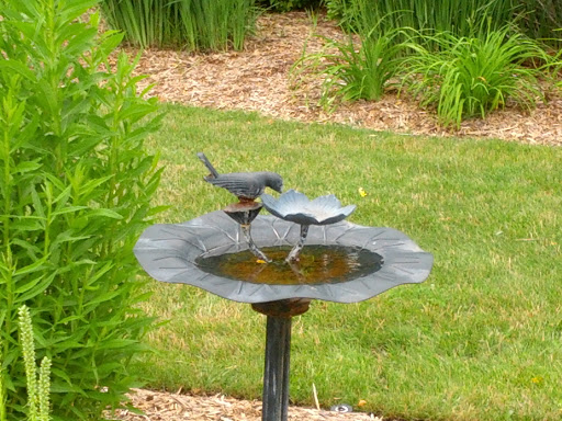 Drinking Bird Sculpture