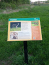 Coyotes Trail Sign
