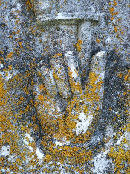 Spotting Image 1