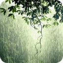 Rain Live Wallpaper mobile app icon
