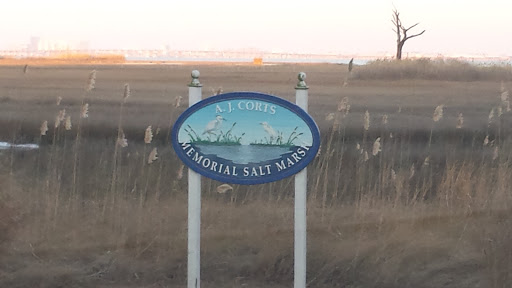 A.j.Corts Memorial Salt Marsh