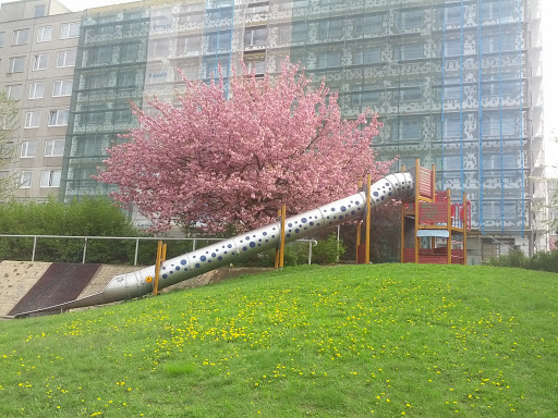 Tubus Slide in Blossoms