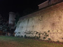 Antiche Mura Di Vetralla