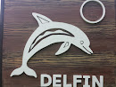 Delfin