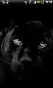 How to mod Black Panther Live Wallpaper lastet apk for android