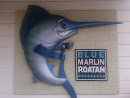 Blue Marlin Roatan