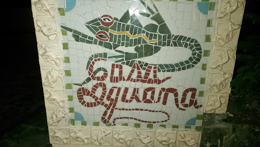 Casa Iguana Mosaic 