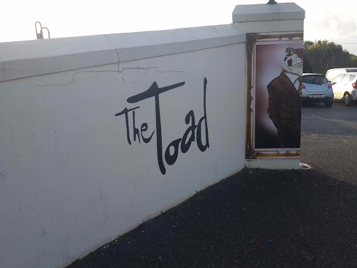 The Toad on the Road