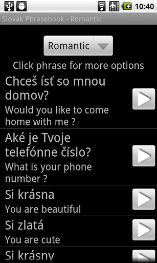 Slovak AUDIO Phrasebook