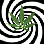 Hypnotic Weed Live Wallpaper Apk