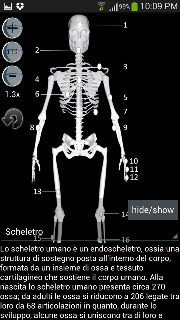 Android application Anatomy Bones and Muscles screenshort