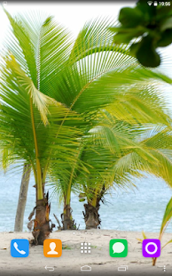 How to install Palm Live Wallpaper 1.1.1 unlimited apk for pc