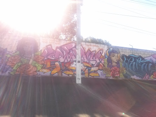 Graffiti Colonia Pamplona