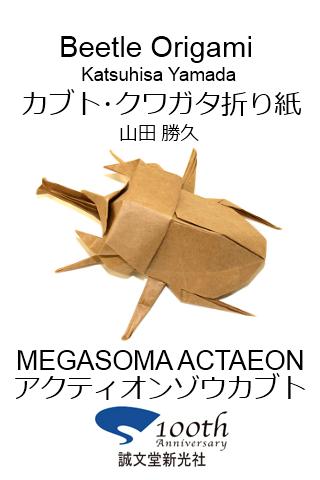 Beetle Origami 4