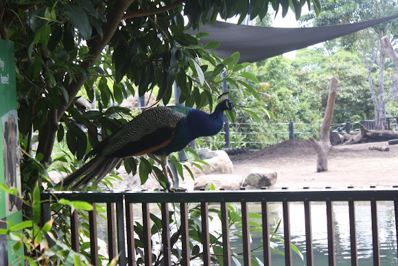 Spotting Image 1
