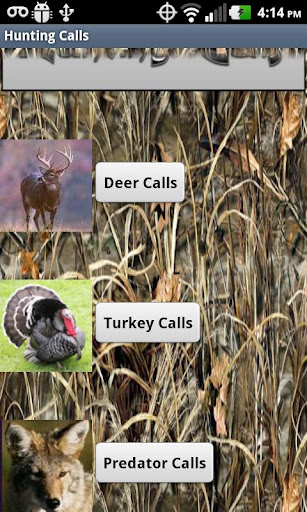 HD Deer Turkey Predator Calls