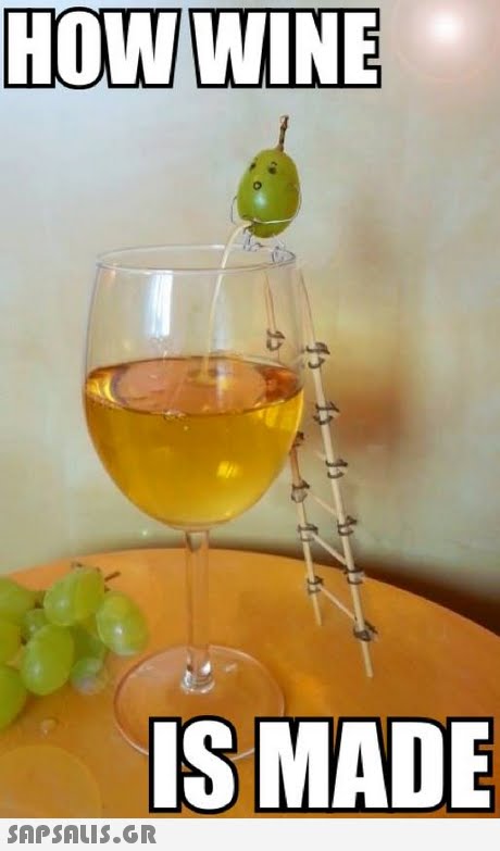 HOW WINE IS MADE 